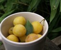 DSC05920.JPG